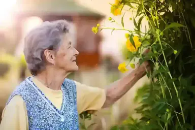 Legacy Quotes and Family Sayings